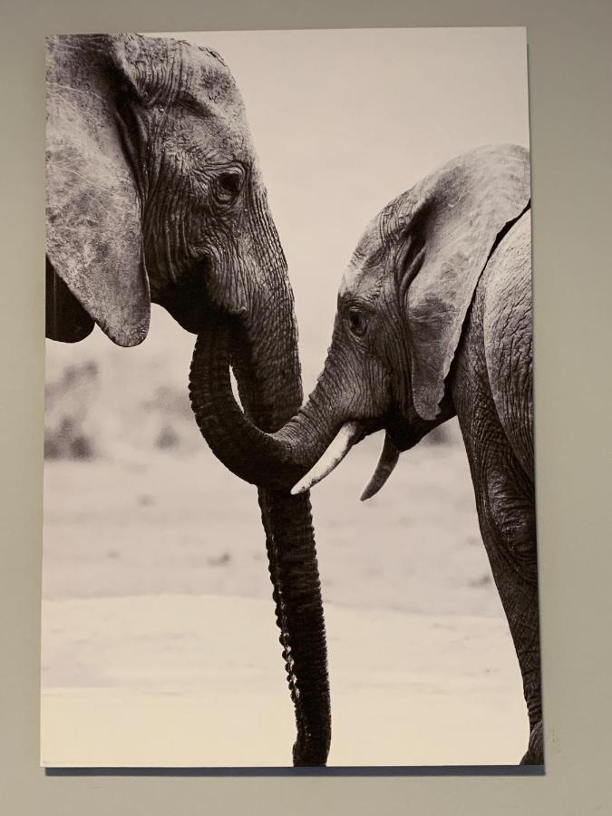 Elephant House, 2 Bedroom House, Next To Pilanesberg And Sun City Mogwase 외부 사진